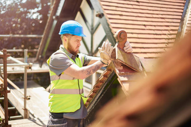 Best Roof Gutter Cleaning  in Tracy, CA